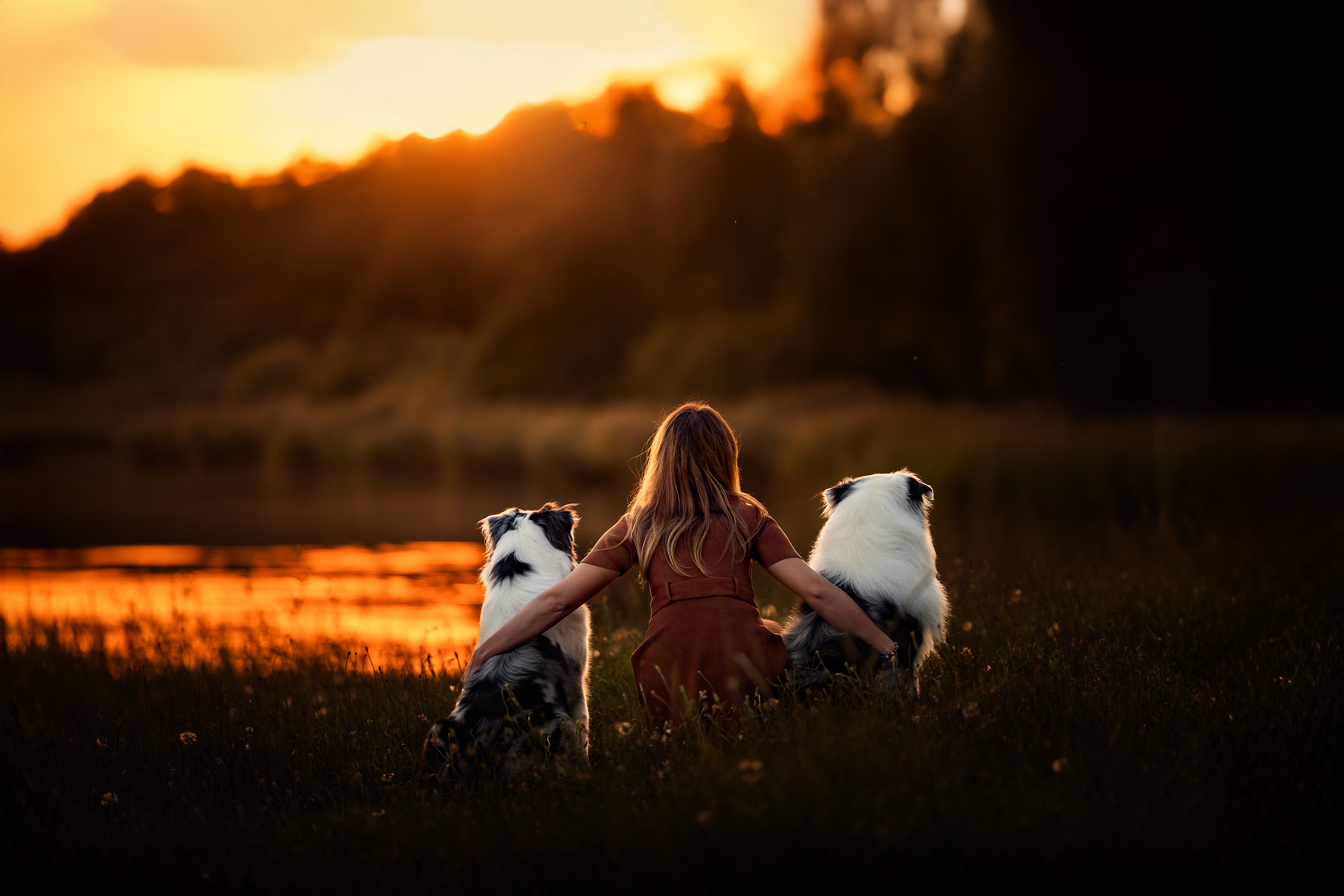 Photographe canine avec ses chiens
